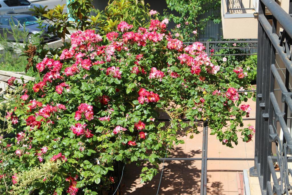 Flowers Apartments Nesebar Exteriör bild